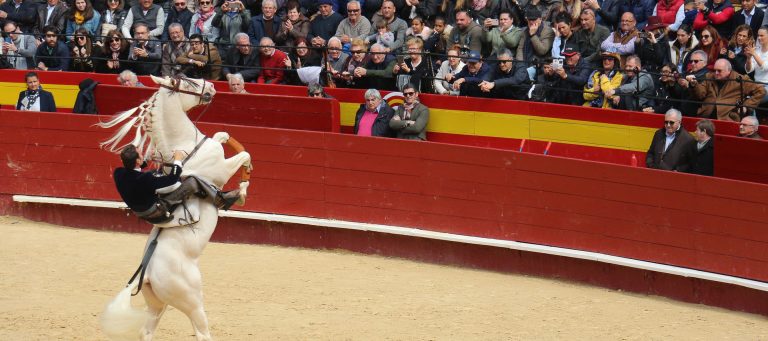 Besonderheiten Steuerrecht Spanien